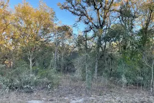 Tbd SW Willow Rd, Dunnellon, FL 34431 - Photo 1