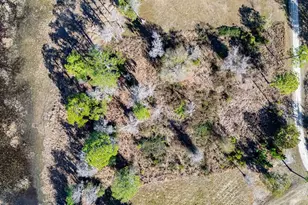 Lakeshore Dr, Starke, FL 32091 - Photo 50