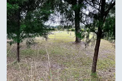 0 NW 60th St, Chiefland, FL 32626 - Photo 4