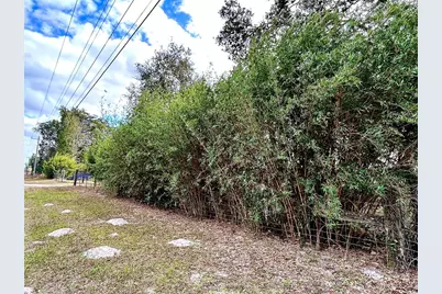 0 NW 60th St, Chiefland, FL 32626 - Photo 8