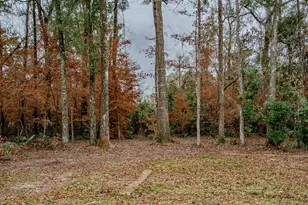 448 SW Central Terrace, Fort White, FL 32038 - Photo 6