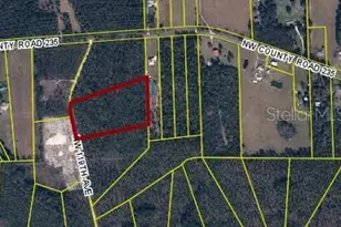 Cr-235, Lake Butler, FL 32054 - Photo 6