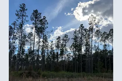 Cr-235, Lake Butler, FL 32054 - Photo 4
