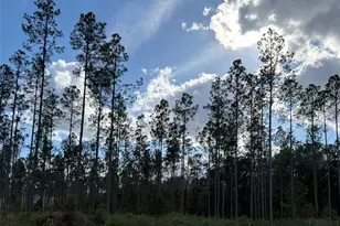 Cr-235, Lake Butler, FL 32054 - Photo 4