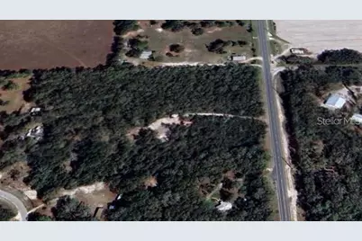 Tbd NE 349 Highway, Old Town, FL 32680 - Photo 4