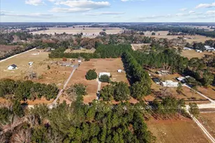 5351 NW 137th Ln, Chiefland, FL 32626 - Photo 36