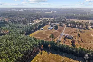 5351 NW 137th Ln, Chiefland, FL 32626 - Photo 34