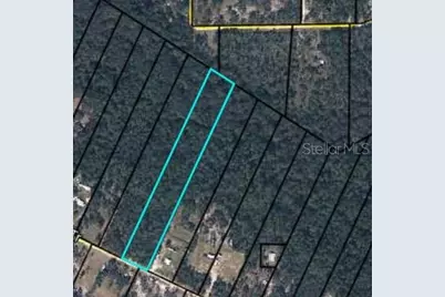 5735 Indian Trail, Keystone Heights, FL 32656 - Photo 2