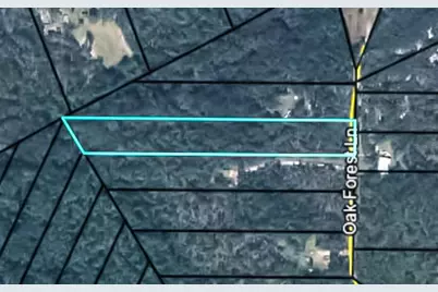 4235 Oak Forest Lane, Keystone Heights, FL 32656 - Photo 1