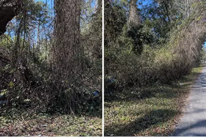 0000 NW 134th Ter, Alachua, FL 32615 - Photo 1