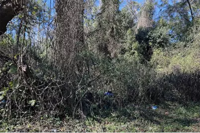 0000 NW 134th Ter, Alachua, FL 32615 - Photo 2