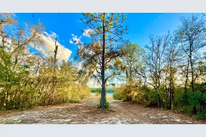 109 Sandpiper Drive, Hawthorne, FL 32640 - Photo 36