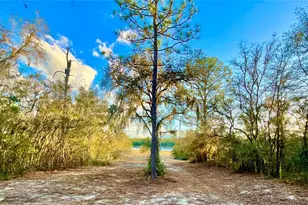 109 Sandpiper Dr, Hawthorne, FL 32640 - Photo 36