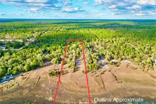 109 Sandpiper Dr, Hawthorne, FL 32640 - Photo 54