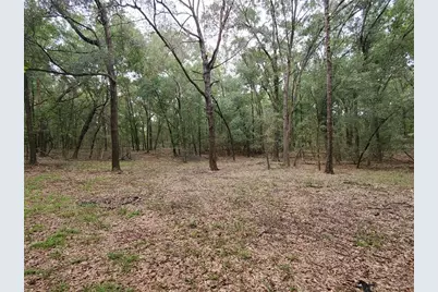 4919 NE 18 Trail, Trenton, FL 32693 - Photo 14