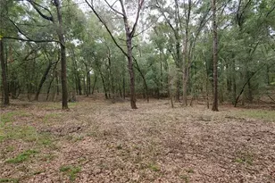 4919 NE 18th Trail, Trenton, FL 32693 - Photo 14