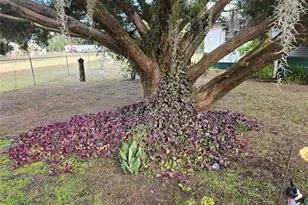 240 Kitty Ave, Interlachen, FL 32148 - Photo 2