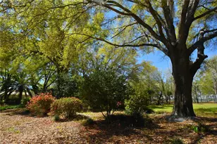 272 NE County Rd 337, Trenton, FL 32693 - Photo 92