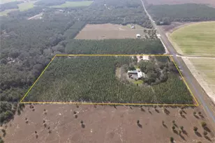 272 NE County Rd 337, Trenton, FL 32693 - Photo 96
