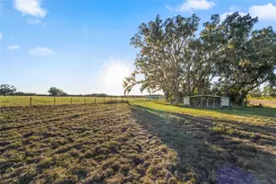 3789 NW 202nd St, Newberry, FL 32669 - Photo 68