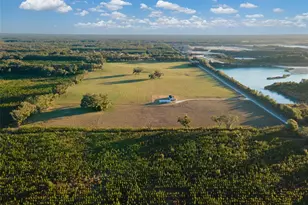 3789 NW 202nd St, Newberry, FL 32669 - Photo 6