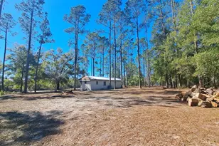 669 SW Shiloh St, Fort White, FL 32038 - Photo 16