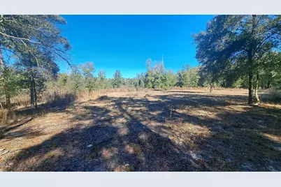 669 SW Shiloh Street, Fort White, FL 32038 - Photo 2