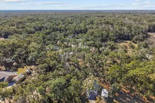 11171 NW 73rd Ct, Chiefland, FL 32626 - Photo 58