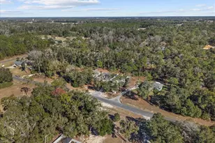11171 NW 73rd Ct, Chiefland, FL 32626 - Photo 64