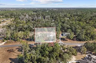 11171 NW 73rd Ct, Chiefland, FL 32626 - Photo 64