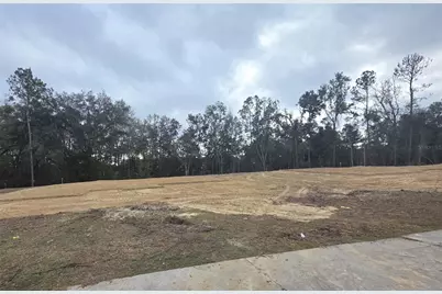 525 SW Bellflower Drive, Lake City, FL 32024 - Photo 2