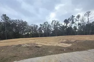 525 SW Bellflower Dr, Lake City, FL 32024 - Photo 2