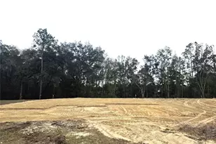 525 SW Bellflower Dr, Lake City, FL 32024 - Photo 1