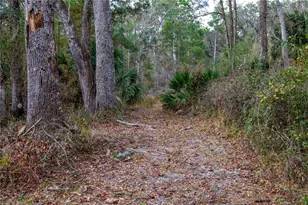 402 SE 709th St, Old Town, FL 32680 - Photo 34