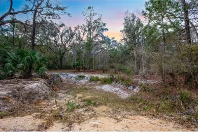 402 SE 709 Street, Old Town, FL 32680 - Photo 32