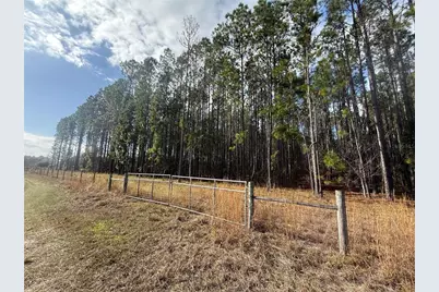 00 SW Sr 121, Lake Butler, FL 32054 - Photo 8