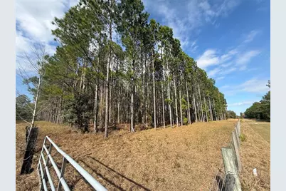 00 SW Sr 121, Lake Butler, FL 32054 - Photo 2