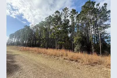00 SW Sr 121, Lake Butler, FL 32054 - Photo 10