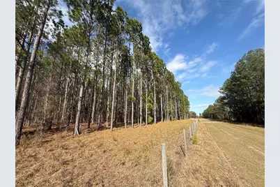 00 SW Sr 121, Lake Butler, FL 32054 - Photo 4