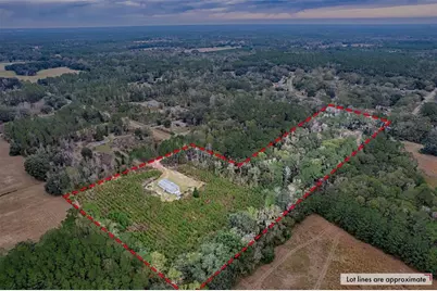 134 SE Powell Place, Lake City, FL 32025 - Photo 40