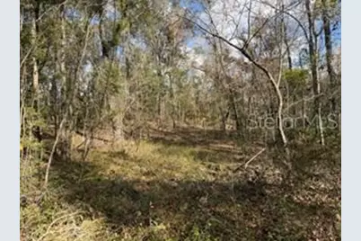 [Address not provided], Bell, FL 32619 - Photo 1