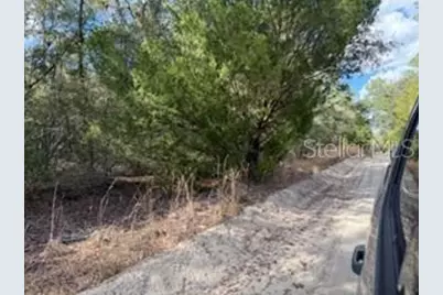 [Address not provided], Bell, FL 32619 - Photo 4