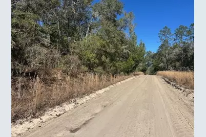 [Address not provided], Bell, FL 32619 - Photo 14