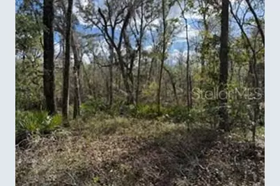 [Address not provided], Bell, FL 32619 - Photo 8