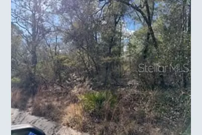 [Address not provided], Bell, FL 32619 - Photo 2