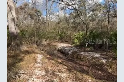 [Address not provided], Bell, FL 32619 - Photo 6