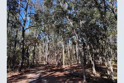 3760 SE County Road 337, Morriston, FL 32668 - Photo 26