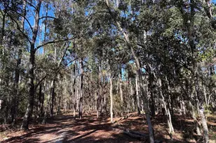 3760 SE Co Rd 337, Morriston, FL 32668 - Photo 26