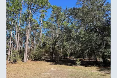 3760 SE County Road 337, Morriston, FL 32668 - Photo 22