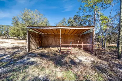 10711 NE 98th Lane, Archer, FL 32618 - Photo 32